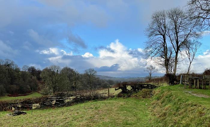The view towards the Preseli hills